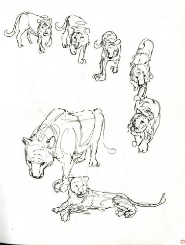 Sketchbook Page - Lions